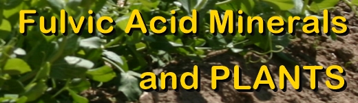 Ormus Minerals Fulvic Acid Minerals for PLANTS